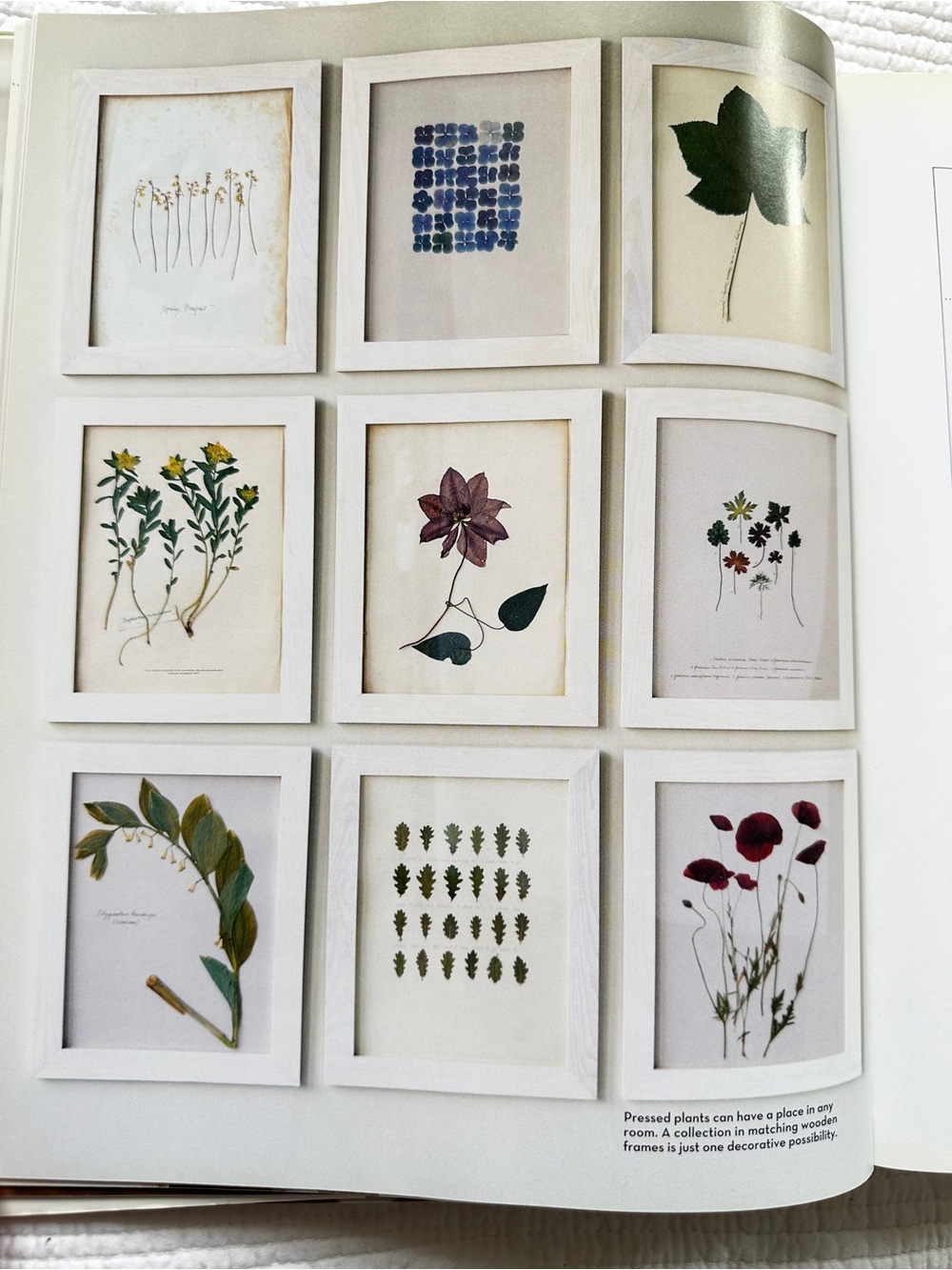 Martha Stewart's Encyclopedia of Crafts: An A-to-Z Guide Hardcover Book DIY Art - Picture 5 of 13
